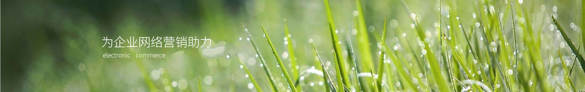 ݸһܻ޹˾